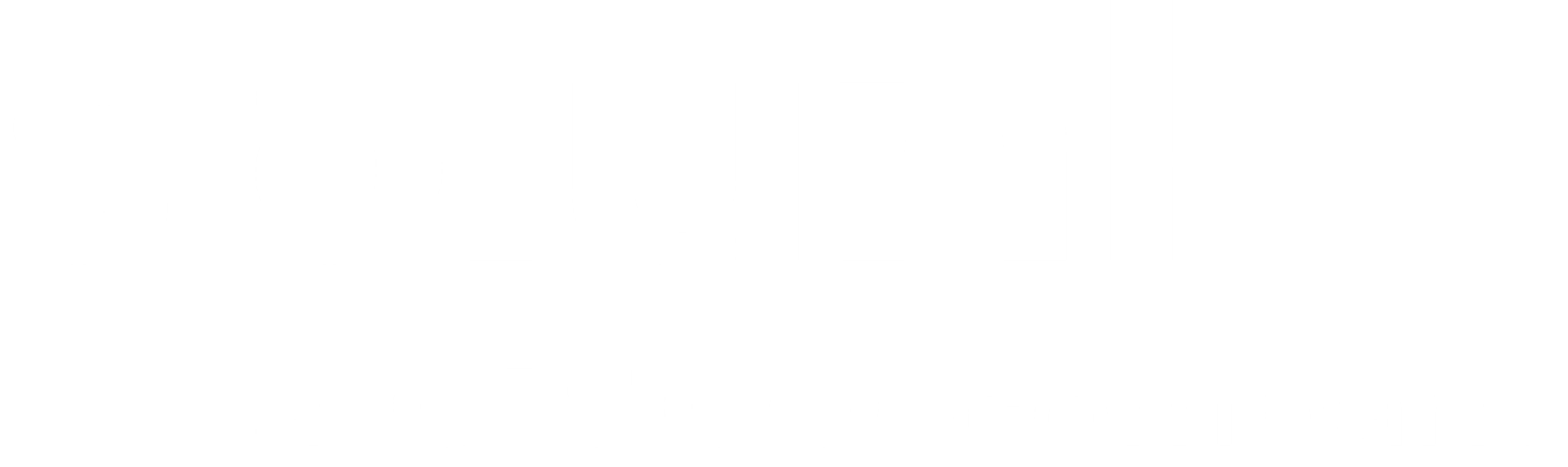 Splunk Logo